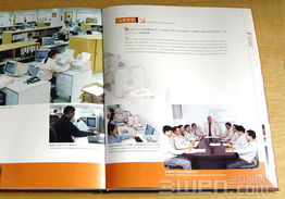 三文品牌設計 構建企業(yè)形象與VI系統(tǒng)的全方位指南